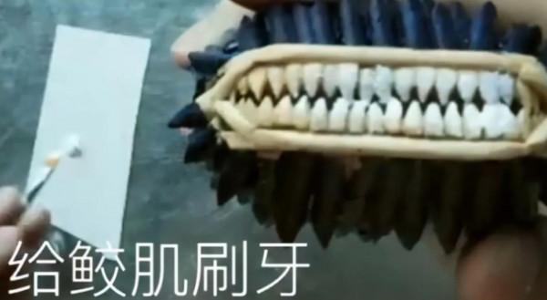 小哥用50雙筷子製作鮫肌，還不忘給鮫肌刷牙，鬼鮫只直呼內行