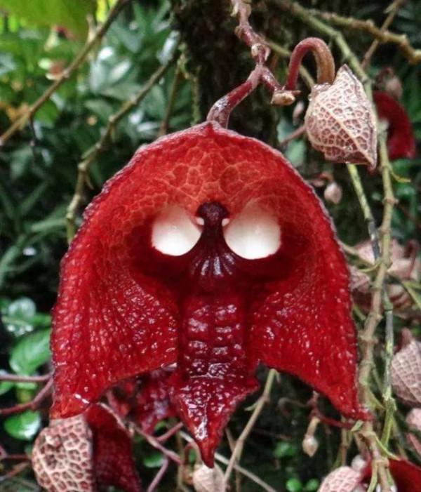 發現不一樣的花草，領悟大自然的奇妙