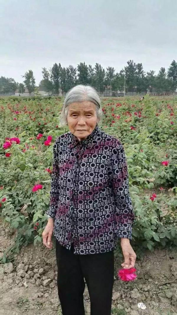 秋韻 | 我的母親 秋韻 | 我的母親