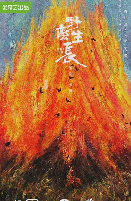 官宣！趙麗穎《野蠻》男主非王一博，有《冰雨火》導演和12位戲骨