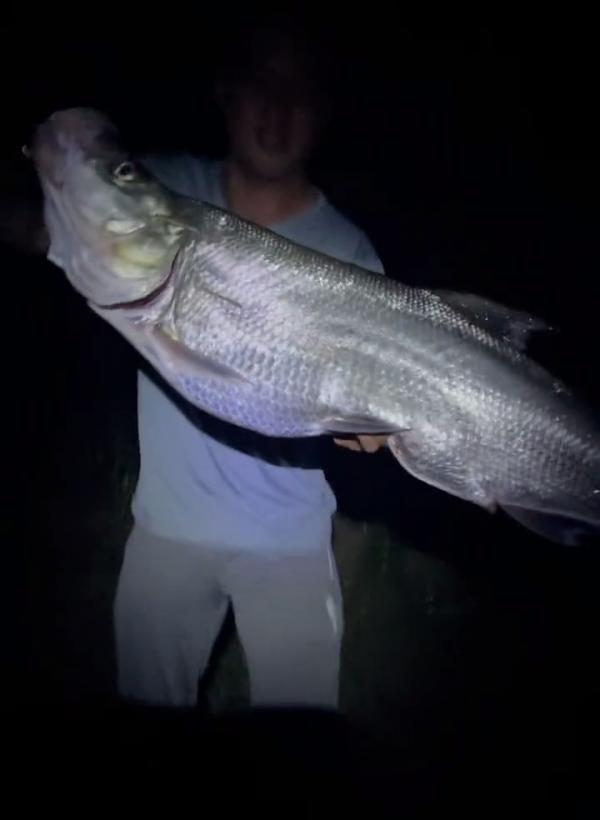 26斤！小夥釣起西江“翹嘴魚王”，網友：中看不中用，肉老難吃