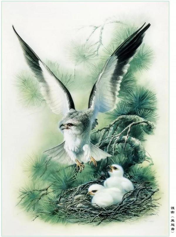 中國動植物畫第一人，曾孝濂極品工筆畫