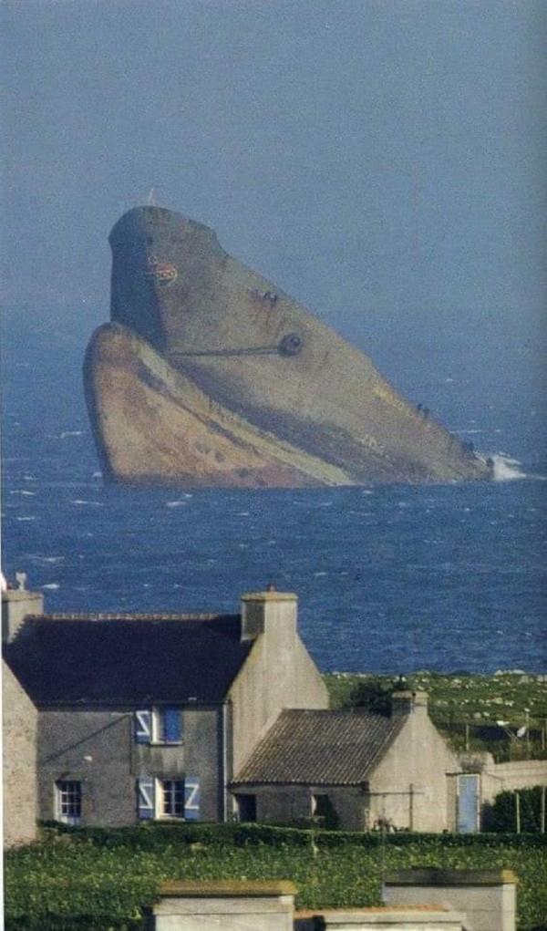 30張照片看世界:美國劫匪被奪槍,日本怪異廣告,義大利空姐遊行 30張照片看世界:美國劫匪被奪槍,日本怪異廣告,義大利空姐遊行