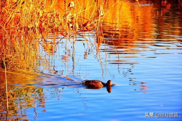 如果沒有疫情，此刻我勸你一定要去一趟北京...