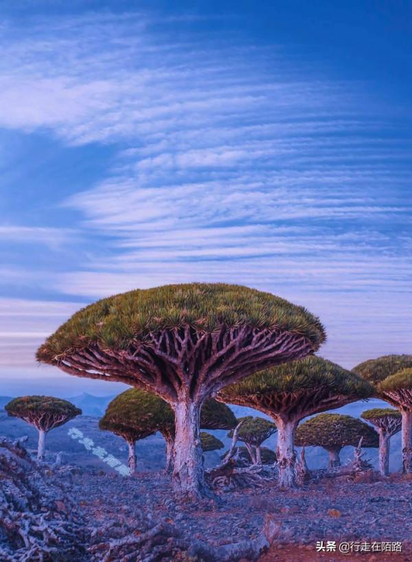 中東極樂島:破敗到還不如偏遠山村,守著金山過苦日子 中東極樂島:破敗到還不如偏遠山村,守著金山過苦日子