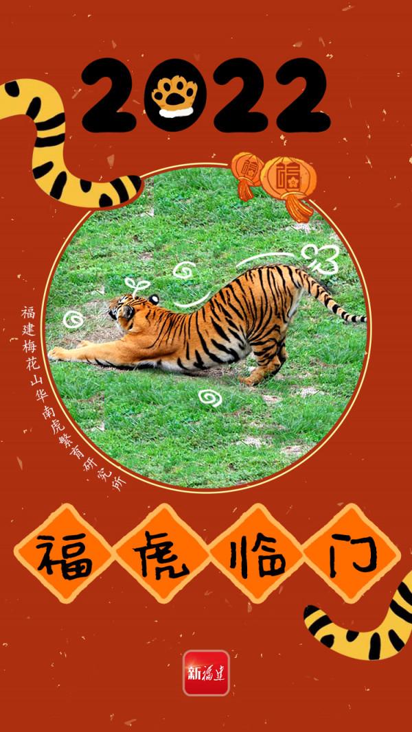 小&OpenCurlyDoubleQuote;腦斧&rdquo;給你拜年！接虎（fu）氣啦