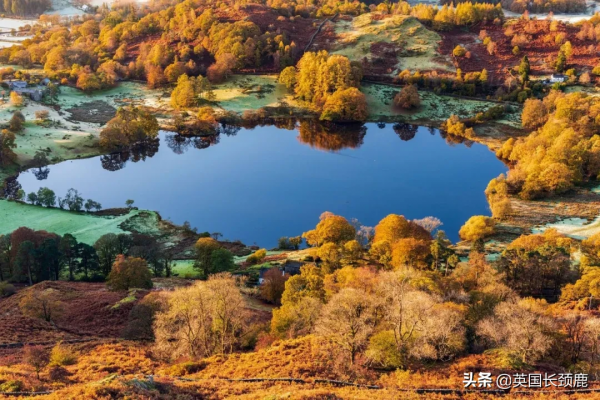 你還記得深秋英國的樣子嗎?若你還在,與你共享 你還記得深秋英國的樣子嗎?若你還在,與你共享