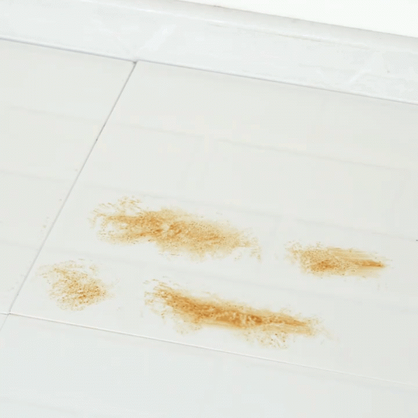 房屋幾天不打掃,總會出現很多“毛毛”,這是怎麼回事? 房屋幾天不打掃,總會出現很多“毛毛”,這是怎麼回事?