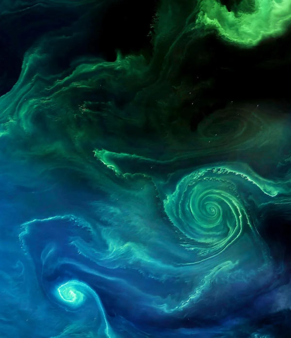 換個角度看地球，世界觀被完全顛覆了…