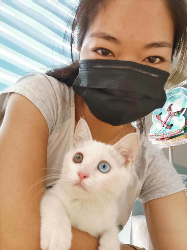 我們的毛孩子——端午 我們的毛孩子——端午