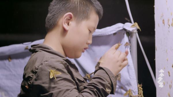 11歲男孩愛好特殊卻被父母支援：被父母尊重的孩子，活得有多爽