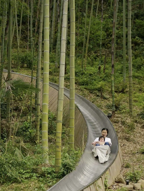 莫干山首家擁有明星代言網紅森林民宿，35米竹林滑梯丨宿裡FUN集