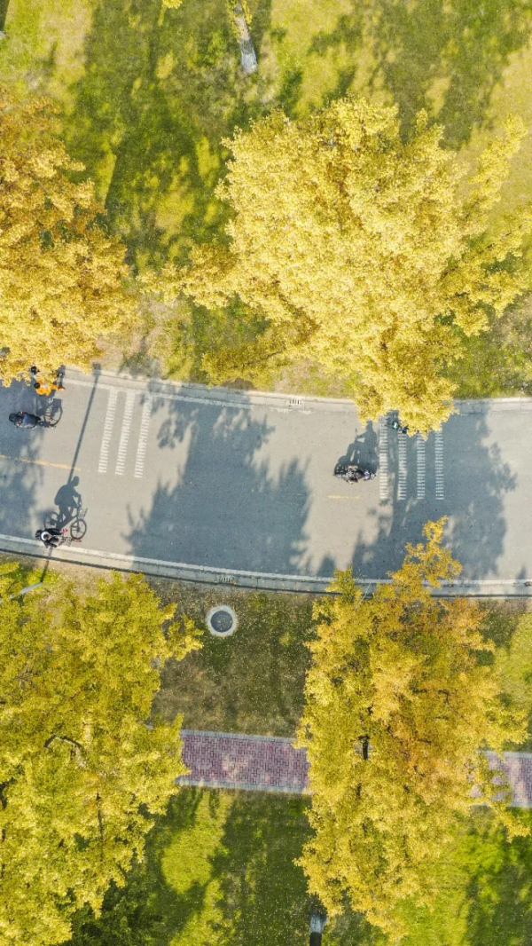 為什麼全國都愛四川的秋天! 為什麼全國都愛四川的秋天!