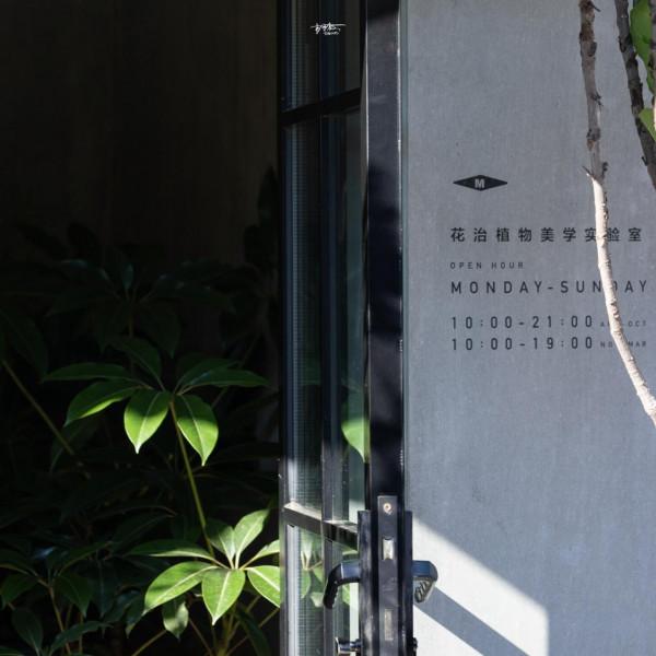 一到北京最美的季節,就想去這條北京最文藝的衚衕 一到北京最美的季節,就想去這條北京最文藝的衚衕