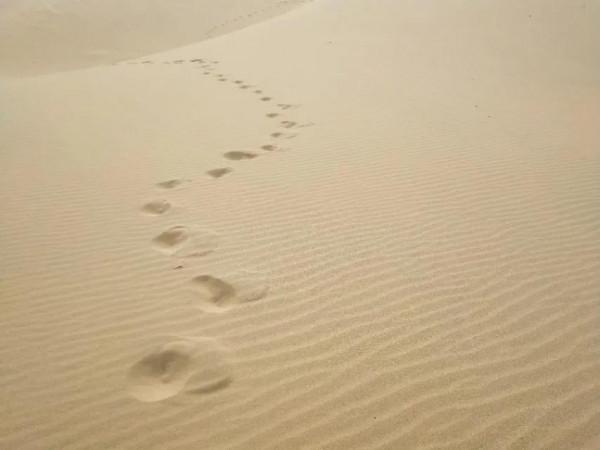 沙漠世界地質公園風光