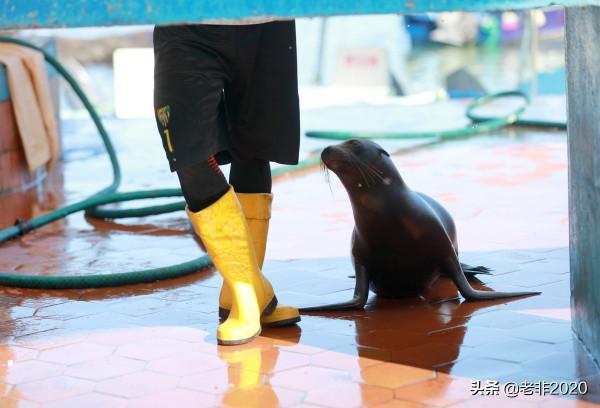 我拍的10種動物,你能認出一半就很厲害了 我拍的10種動物,你能認出一半就很厲害了