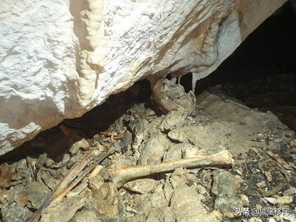 斯洛伐克發現有人類遺骸的洞穴