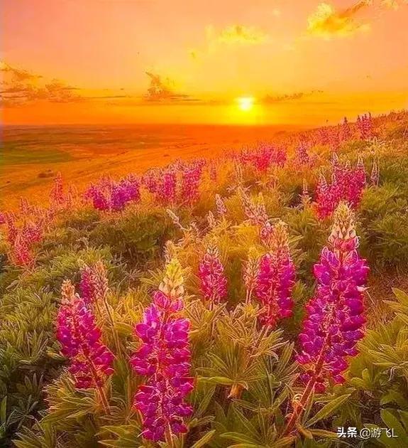 《老人言》總結出的精典