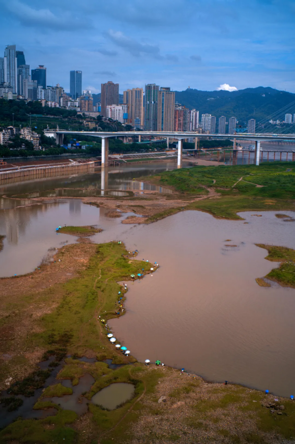 一千出頭的國產徠卡式50mm F1.4鏡頭 一千出頭的國產徠卡式50mm F1.4鏡頭