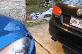 貓每天來擦玻璃，半年後獲得長期飯碗