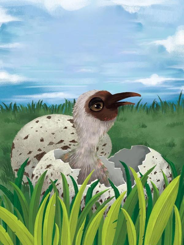 人與自然和諧共生教育:朱䴉(上) 人與自然和諧共生教育:朱䴉(上)