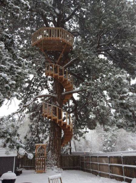 86個難得一見的照片，仙鶴踢飛老鷹，世界最早自拍，鞭腿的力量