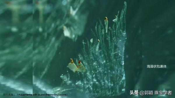 來看看海藍寶石的另一面吧