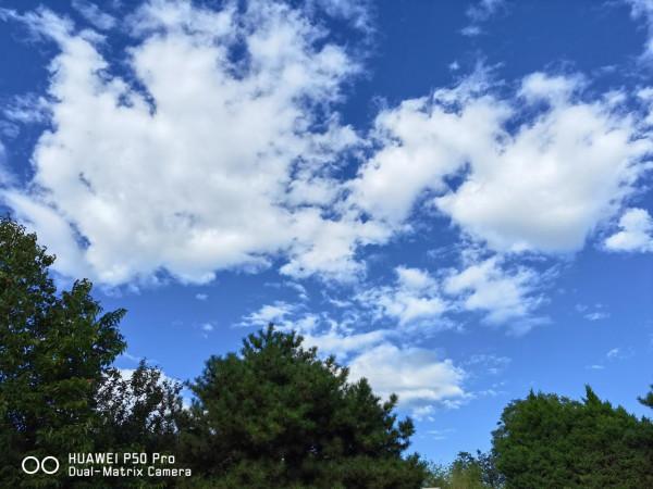 意不意外? 華為P50 Pro首測2: 網友要求再拍10組對比, 逼出它影像極限