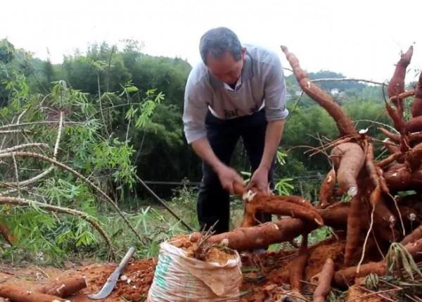 50張照片記錄著最真實的農村生活,這才是我們最深刻的回憶 50張照片記錄著最真實的農村生活,這才是我們最深刻的回憶