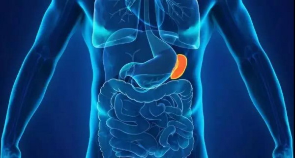 “溼氣”是怎麼來的？喝水過多就會溼氣重嗎？醫生給你講清楚