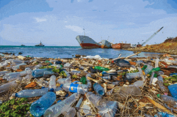 為何人類只探索了5%的海洋?人類在深海中,都發現了什麼? 為何人類只探索了5%的海洋?人類在深海中,都發現了什麼?