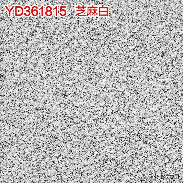 生態地鋪石欣賞