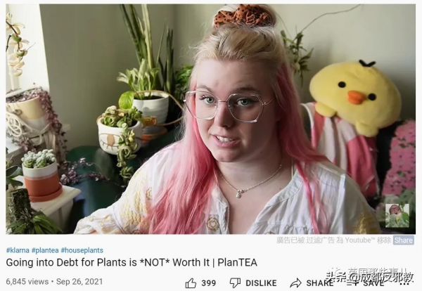 被疫情困太久，歐美年輕人開始瘋狂囤積綠植，借錢都要買？