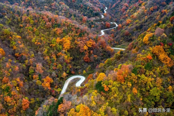 秦嶺紅葉房開售 | 一座座山間小屋，藏著秦嶺最美的秋