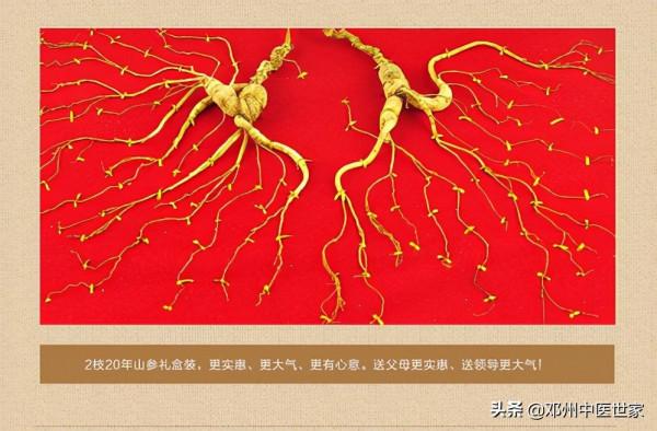 藥性歌括四百味、人參