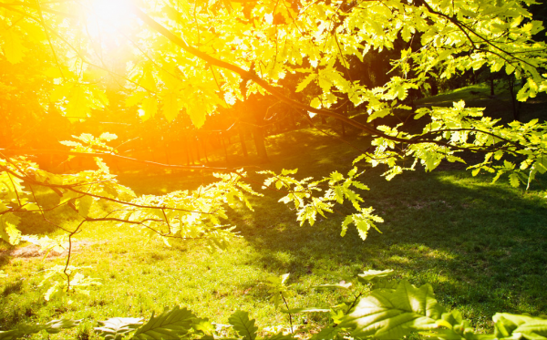 秋深夢斷魂縈繞，雪滿寒冬路漫長。立冬漫吟