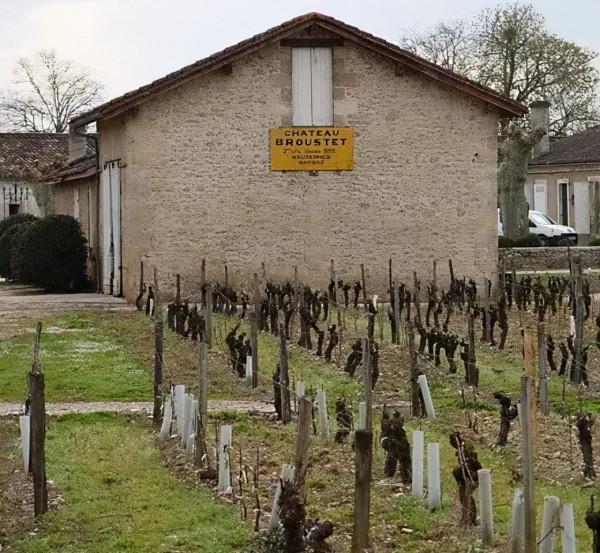 蘇玳名莊之二級莊博思岱 蘇玳名莊之二級莊博思岱