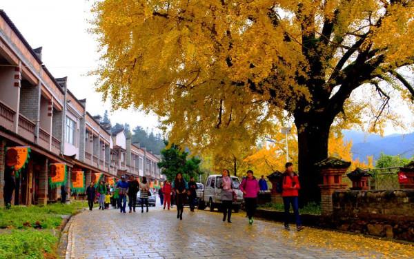 一篇文章，帶您領略四時美景 | 龜峰山最詳細旅遊景點，不容錯過