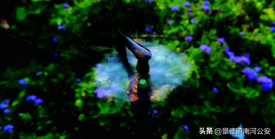 詩詞｜8首夏夜詩詞：看古代詩人們的夏夜是如何度過的？