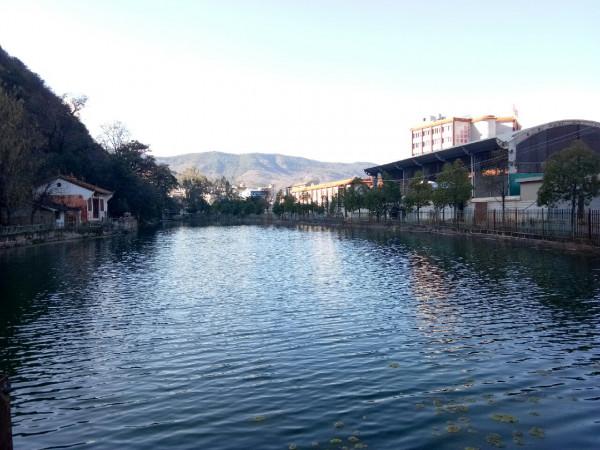 新年首釣的快樂，無非是真“打龜”了