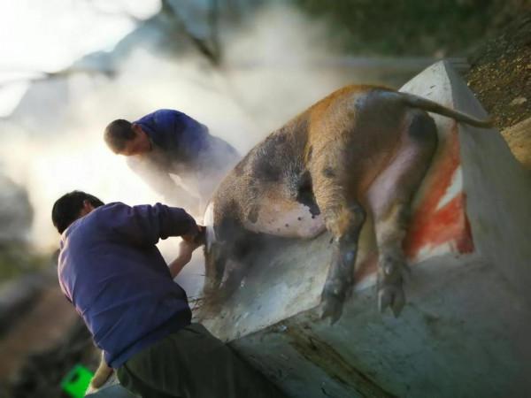 濃濃鄉村情，不捨三農人