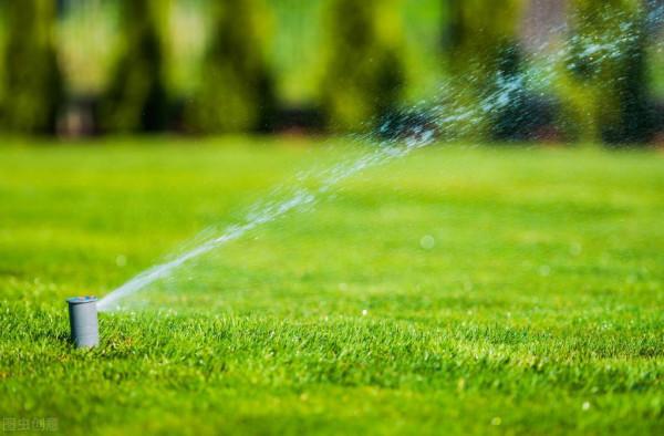 防城港一日遊：我和大劉酸了，想在這邊買房