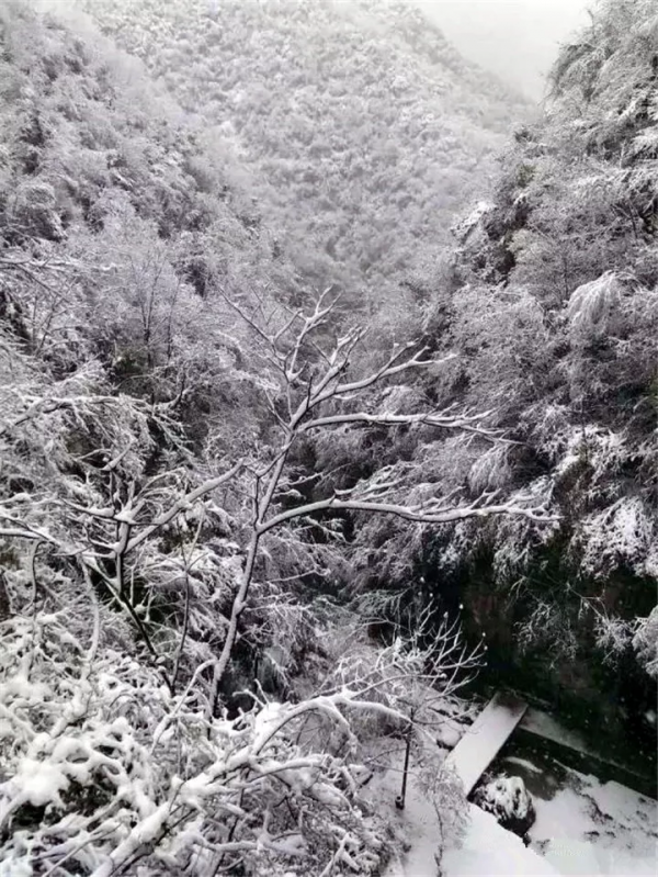 冬已至，一大波美景即將來襲，你準備好get了嗎？