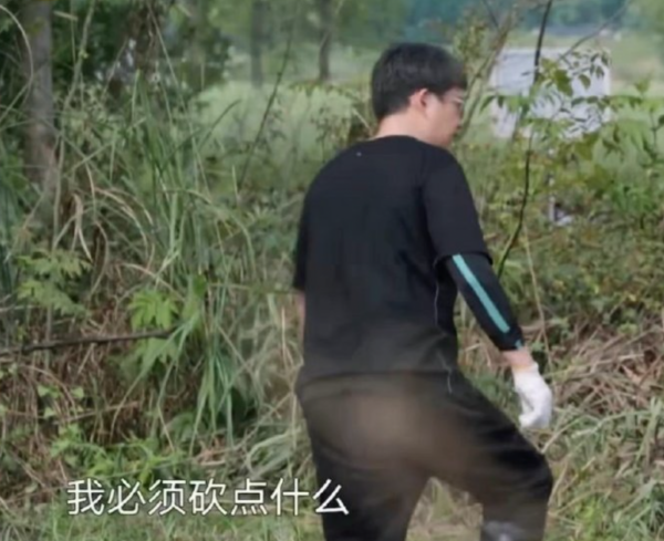 焉栩嘉又雙叒談戀愛了？新女友疑似是張子楓，網友直呼妹妹快跑