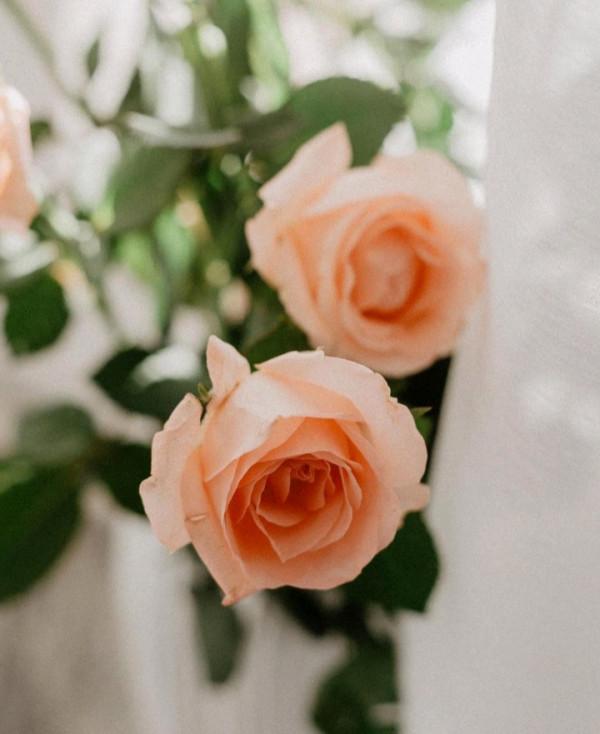 如狼一樣“狠心”的星座,表面上看起來沒威脅,卻恰恰是最狠心的 如狼一樣“狠心”的星座,表面上看起來沒威脅,卻恰恰是最狠心的