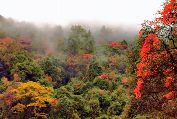 貴州有個滿滿負氧離子景點，號稱洗肺天堂，一個來了不想走地方