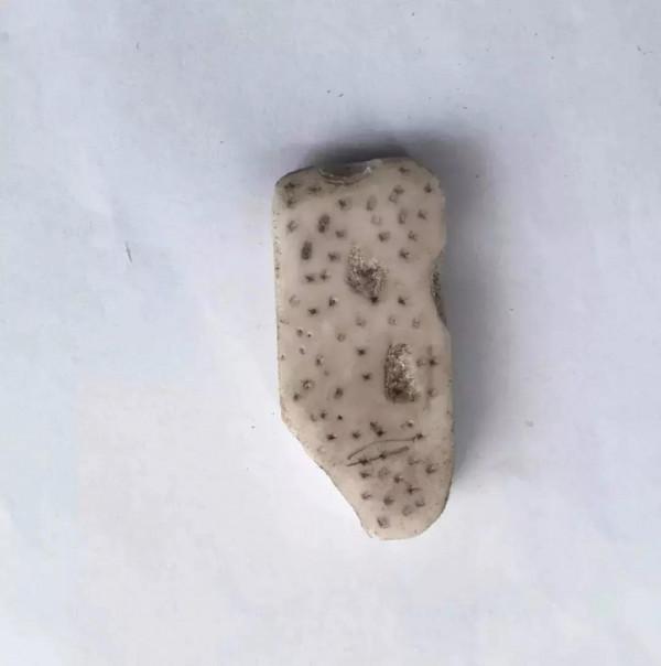 請有孩子的家長們在忙也要耐心的看一看,會有些收穫 請有孩子的家長們在忙也要耐心的看一看,會有些收穫