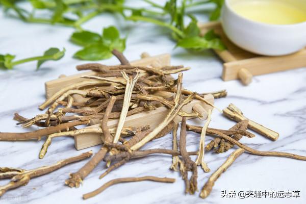 膽囊炎，膽結石？送你八味中藥，辛開苦降，祛邪排濁