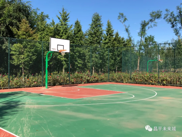 首次曝光！溫榆河公園昌平一期探秘，實在太美了