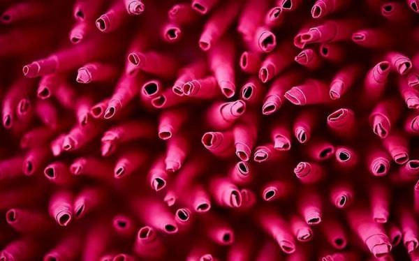 萬物皆可作，紙雕藝術的別樣美